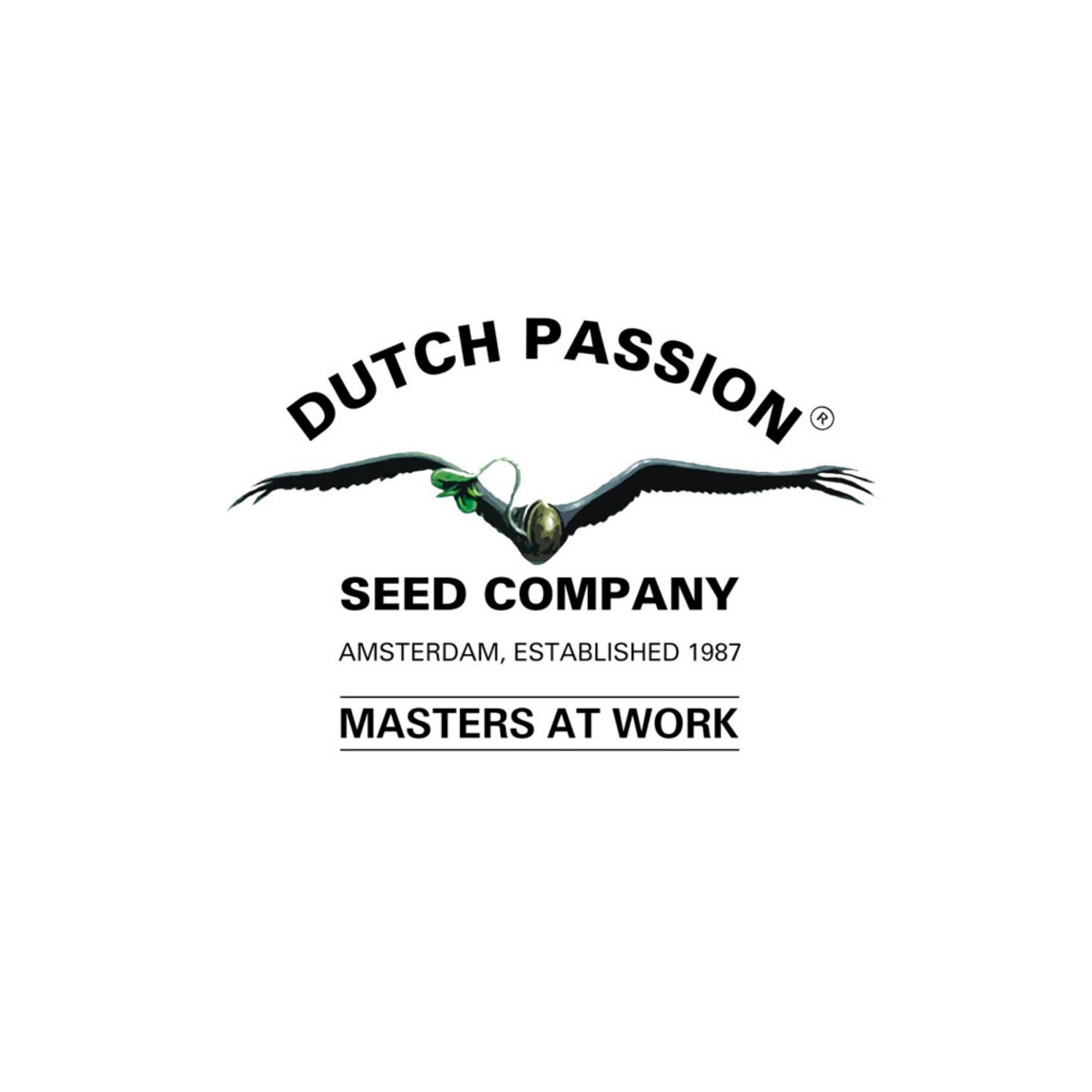Dutch Passion Cannabis Seeds | Legendary Amsterdam Genetics
