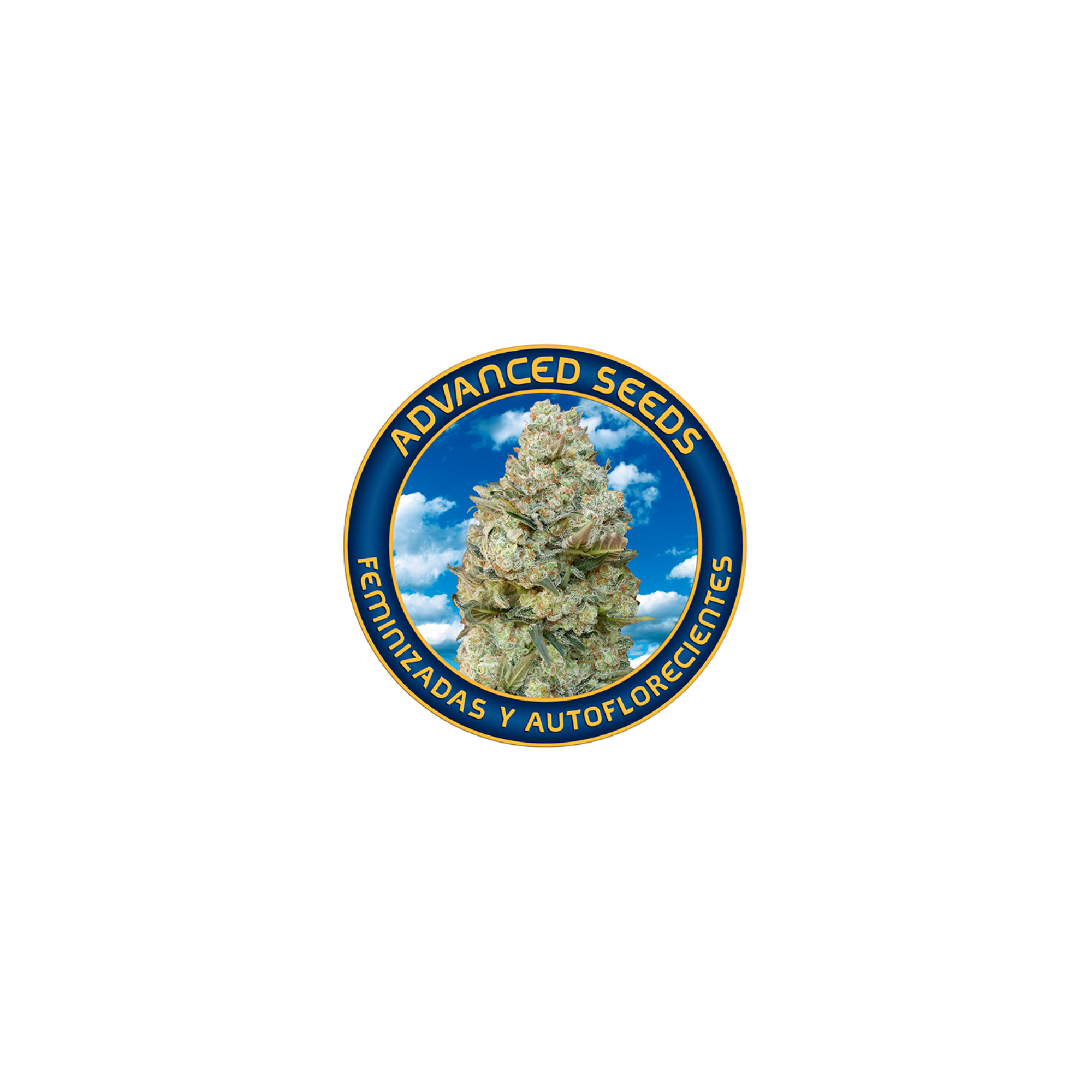 Advanced Seeds Cannabis Seeds | Spanish Skunk & Kush Hybrids