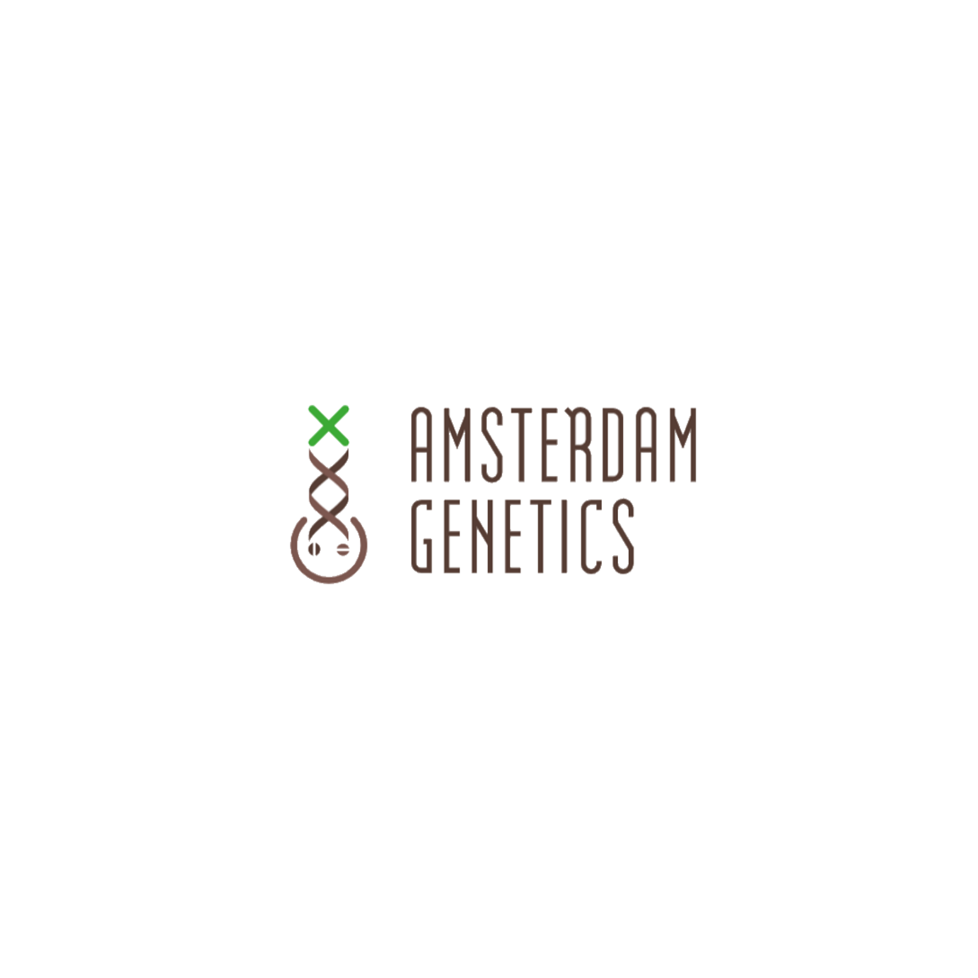 Amsterdam Genetics Cannabis Seeds | Premium Amsterdam Breeder
