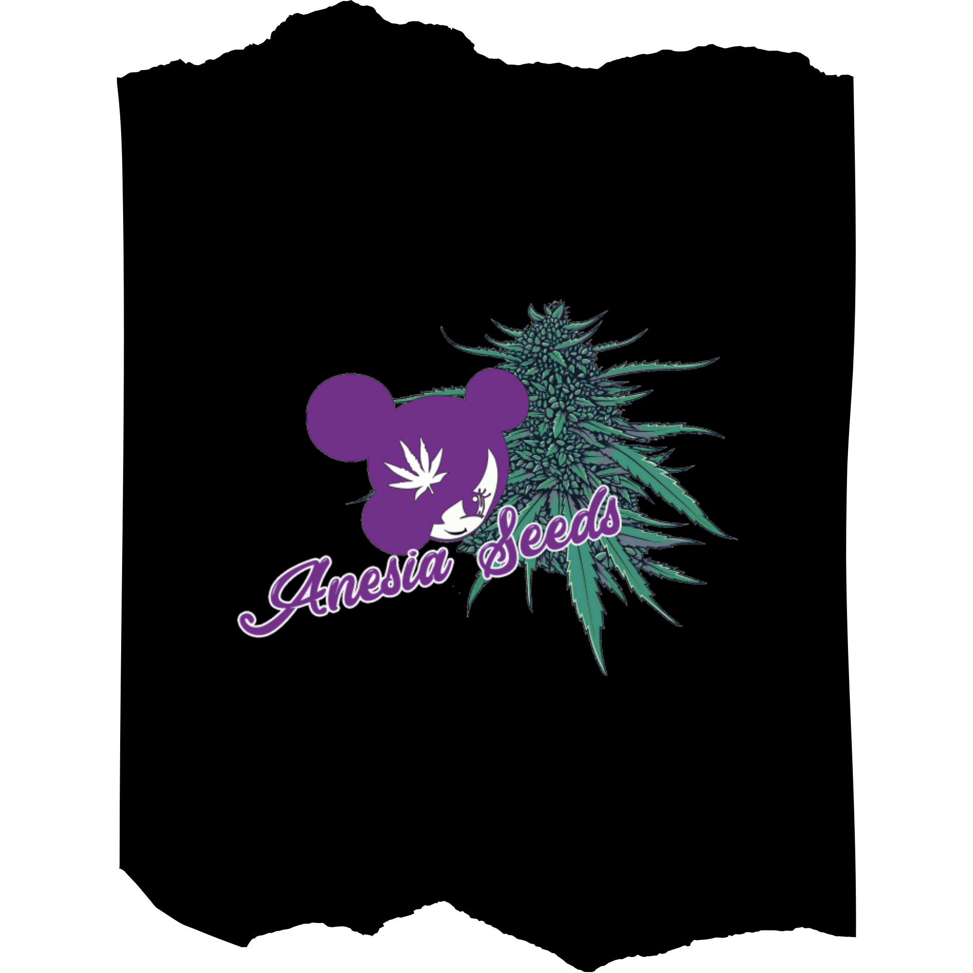 Anesia Seeds Cannabis Seeds | High-Potency Premium Genetics