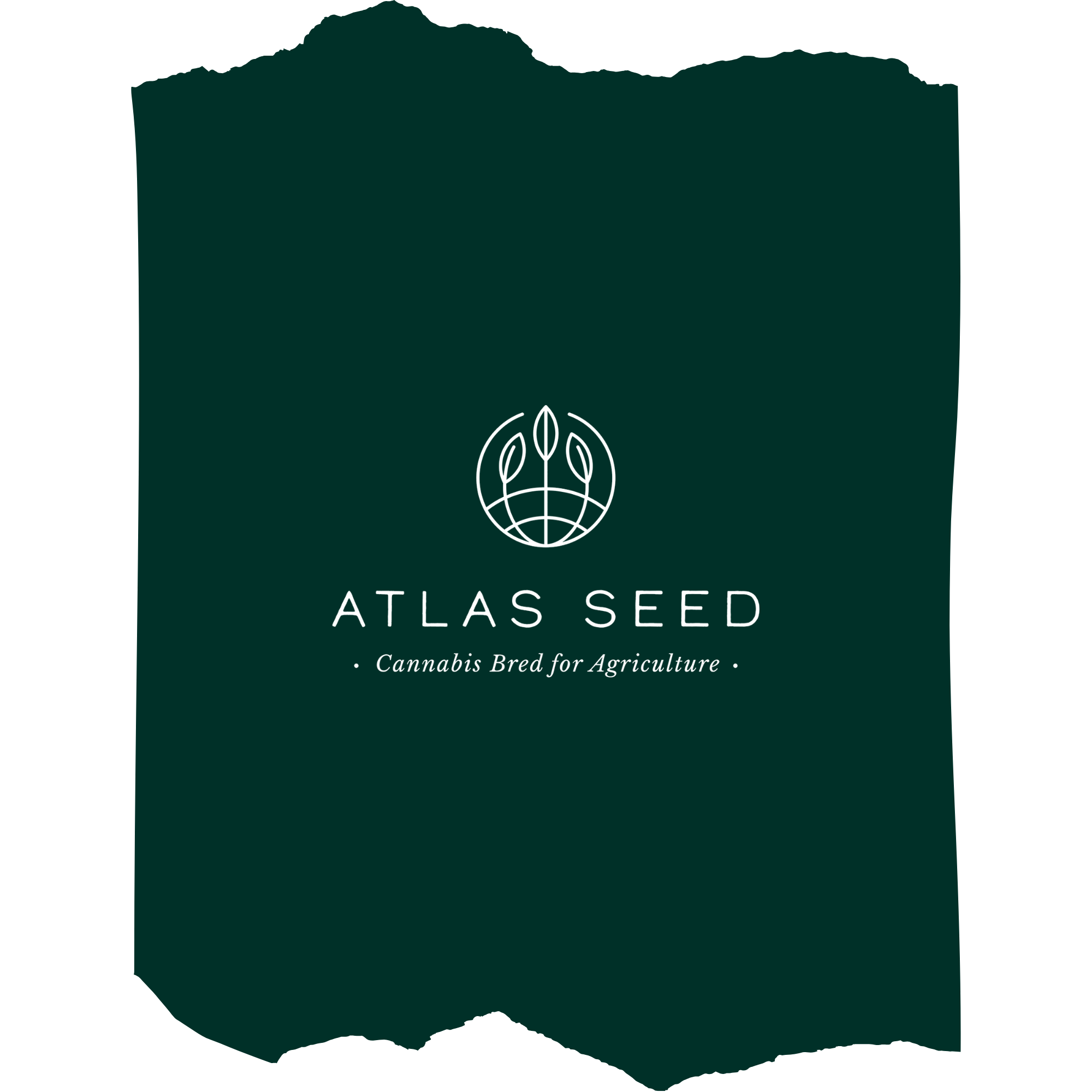 Atlas Seed Cannabis Seeds | Uniform High-Performance Genetics