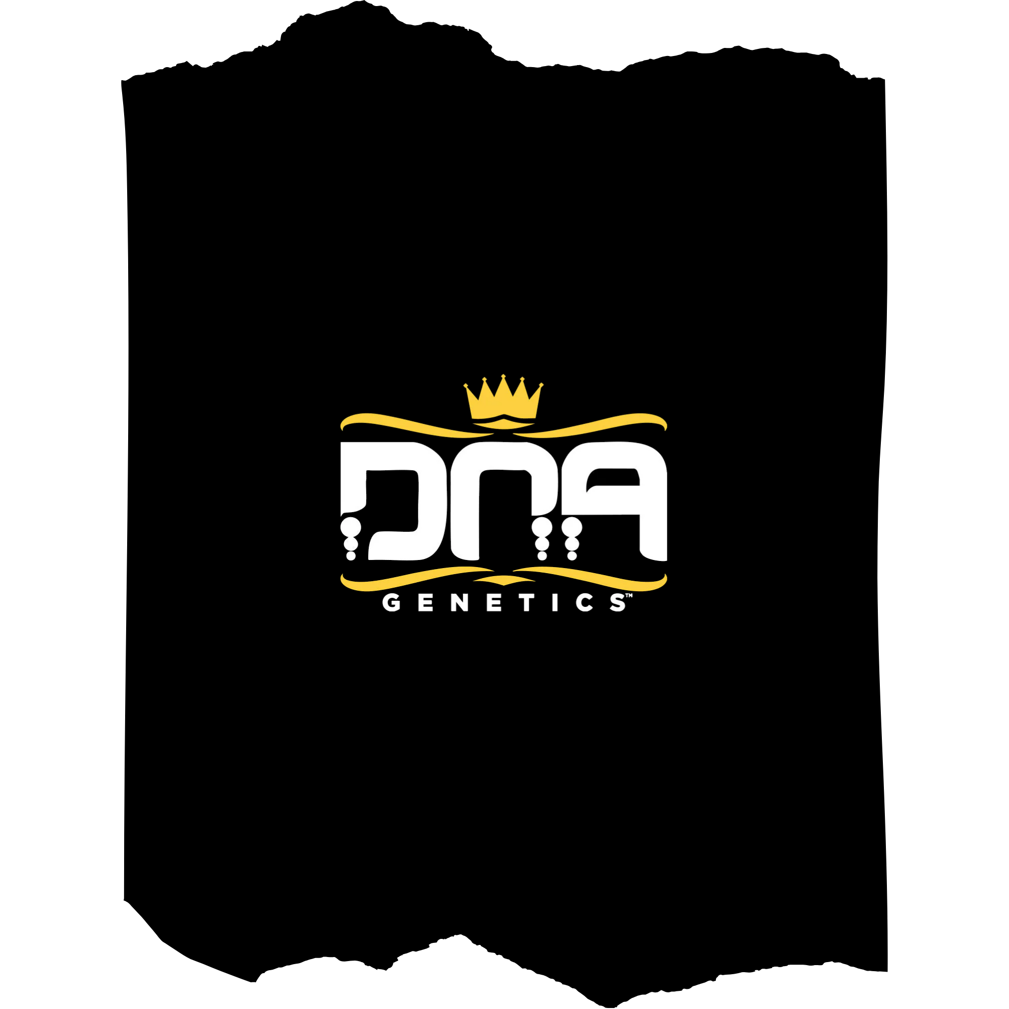 DNA Genetics | Award-Winning Dutch Cannabis Seed Bank