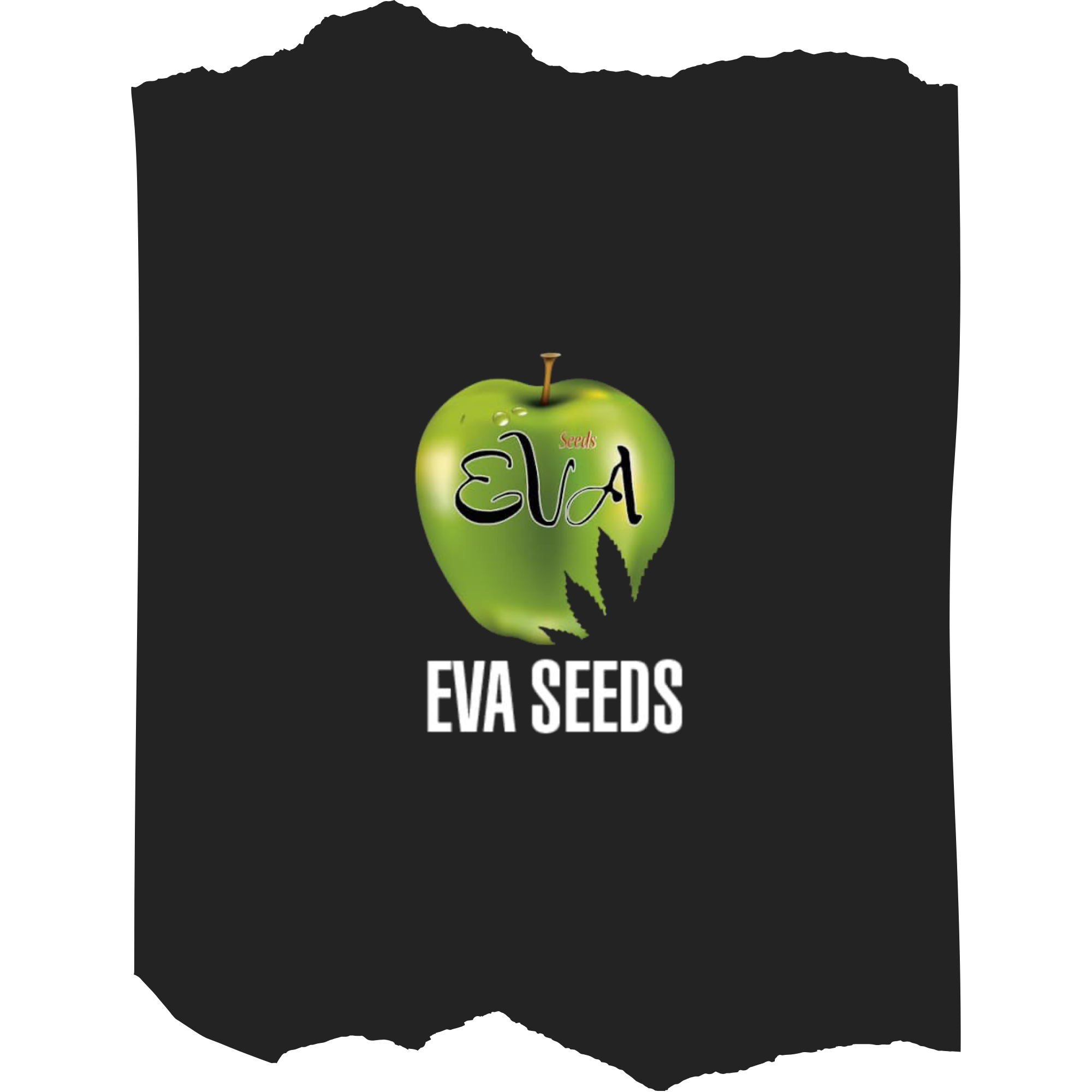 Eva Seeds | Fast-Flowering Photoperiod Cannabis Genetics