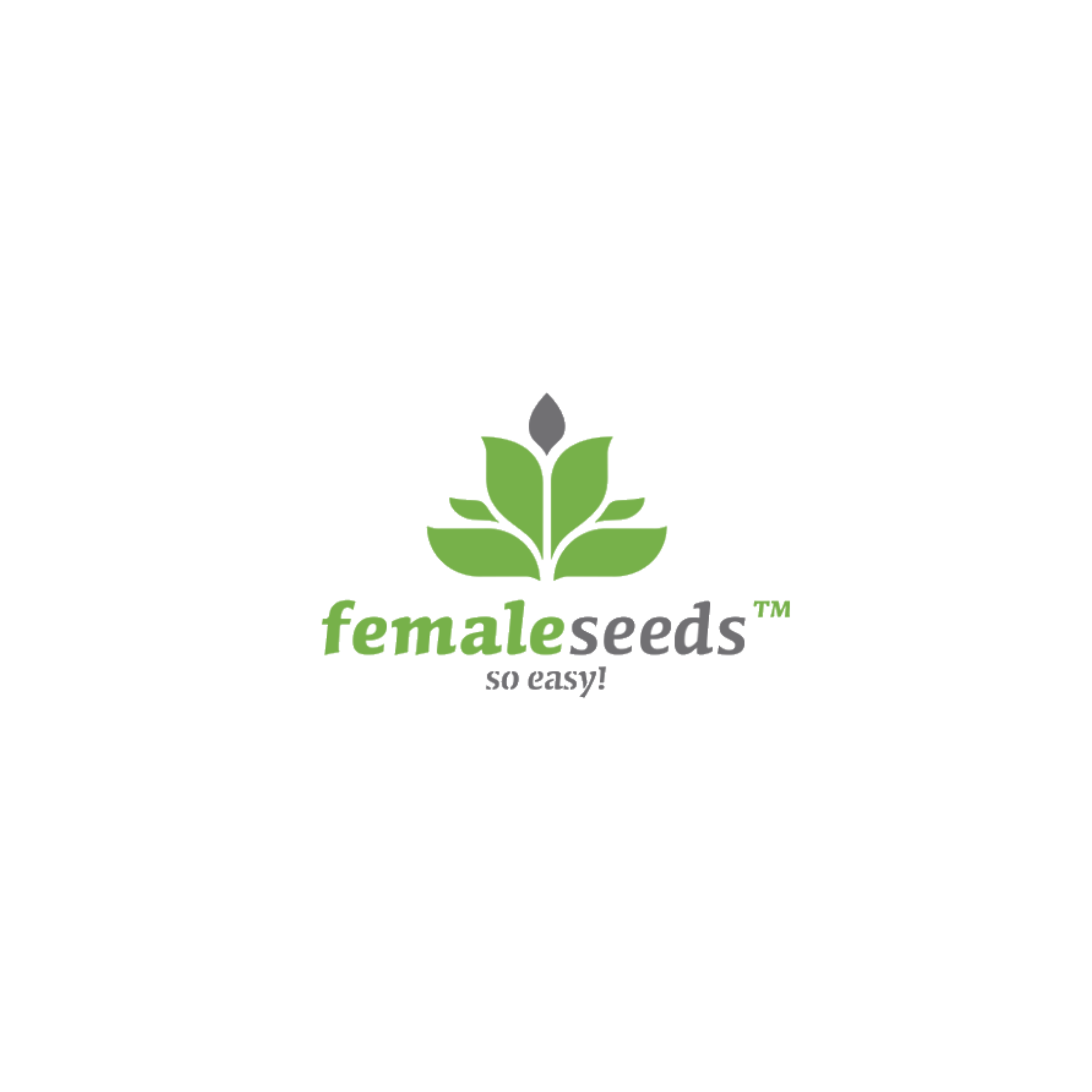 Female Seeds | Reliable Feminized Cannabis Genetics Since 2003