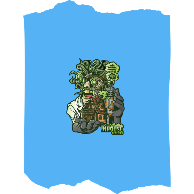 In House Genetics Seeds | Elite Feminized & Regular Cannabis Seeds