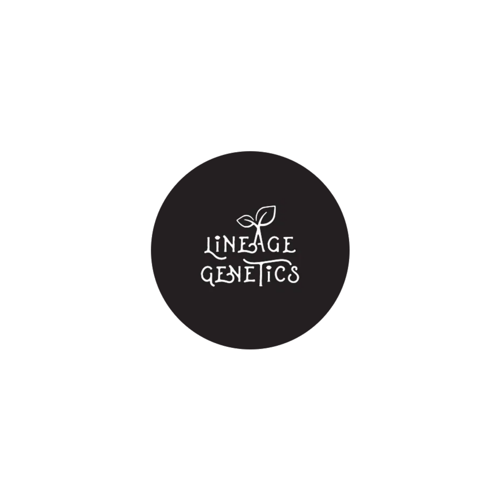 Lineage Genetics | Classic Cannabis Strains & Landrace-Based Hybrids