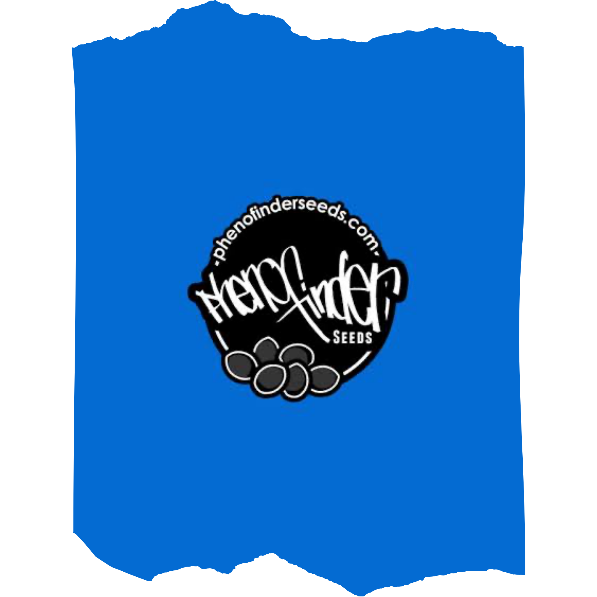 Pheno Finder Seeds | Elite Feminized Strains & Cup-Winning Phenotypes