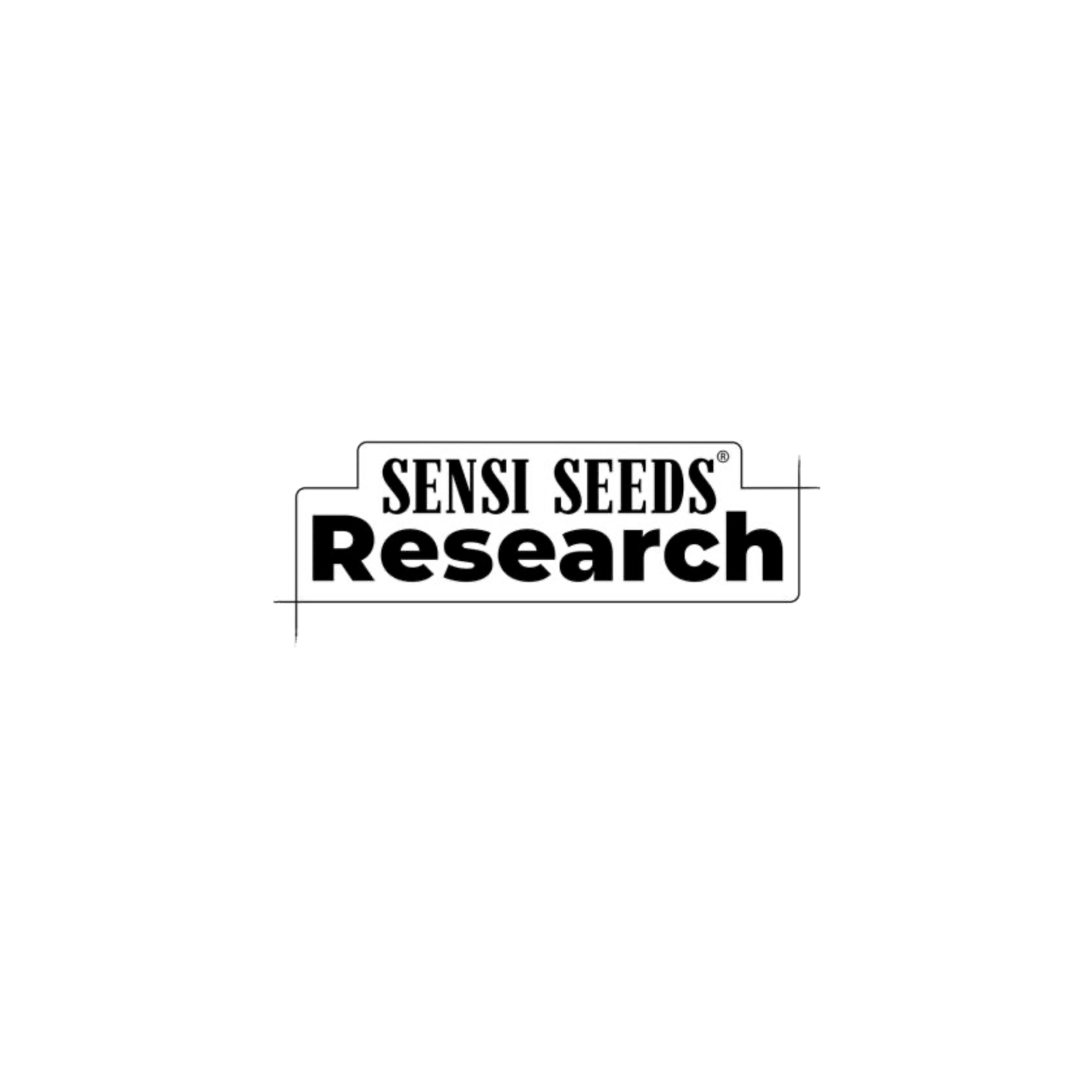 Sensi Seeds Research | Innovative Cannabis Genetics from a Legendary Gene Bank