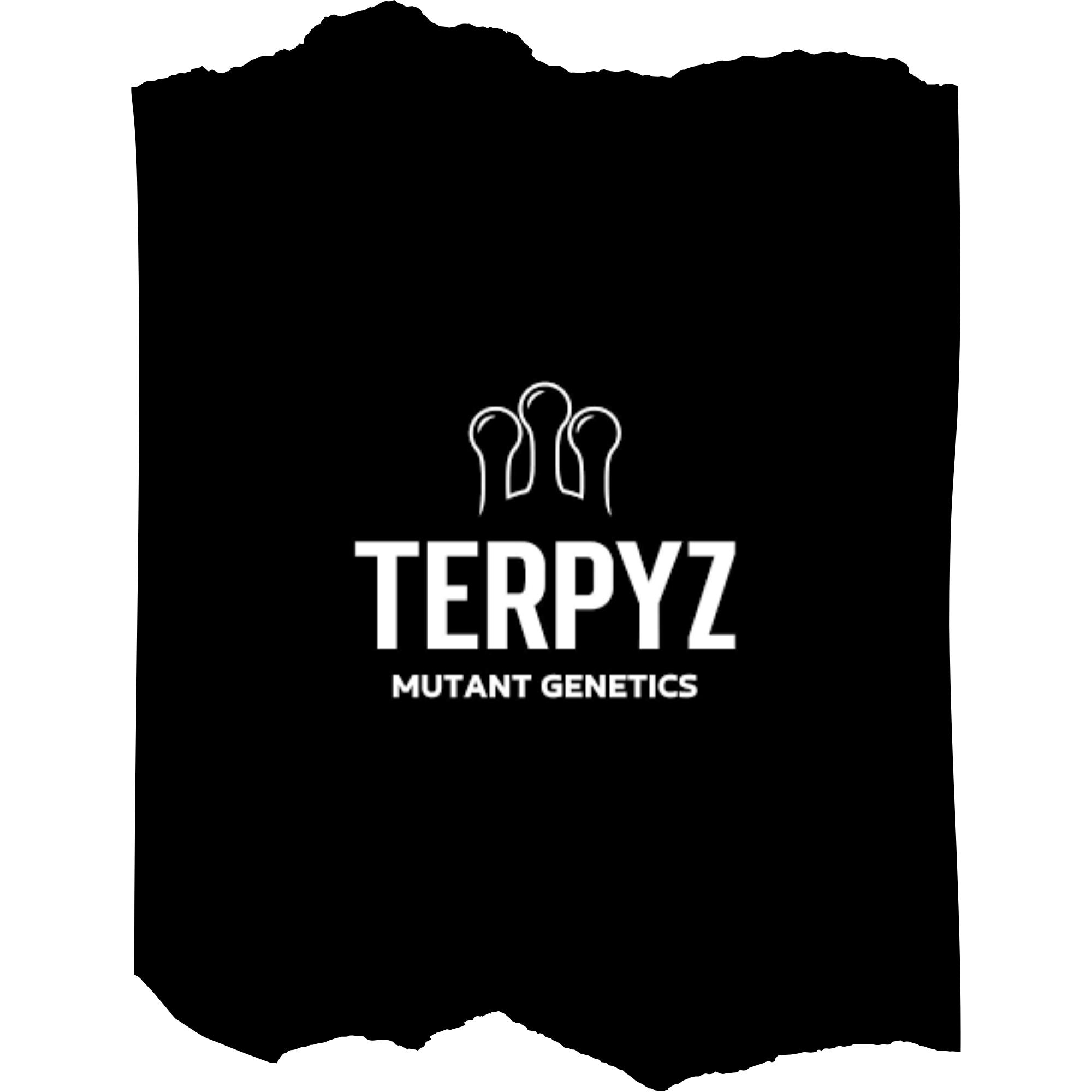 TerpyZ Mutant Genetics | Pioneer of Unique Mutant Cannabis Strains