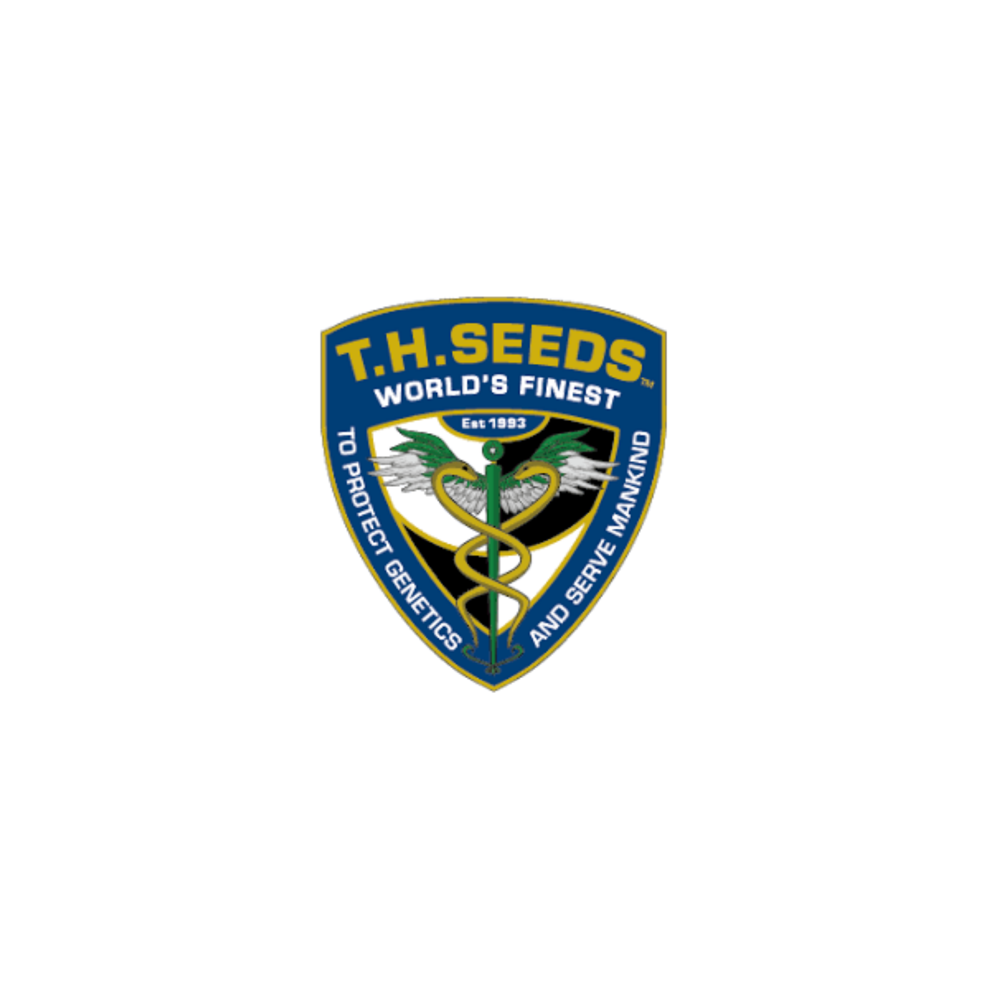 THSeeds | Amsterdam-Born Premium Cannabis Genetics Since 1993