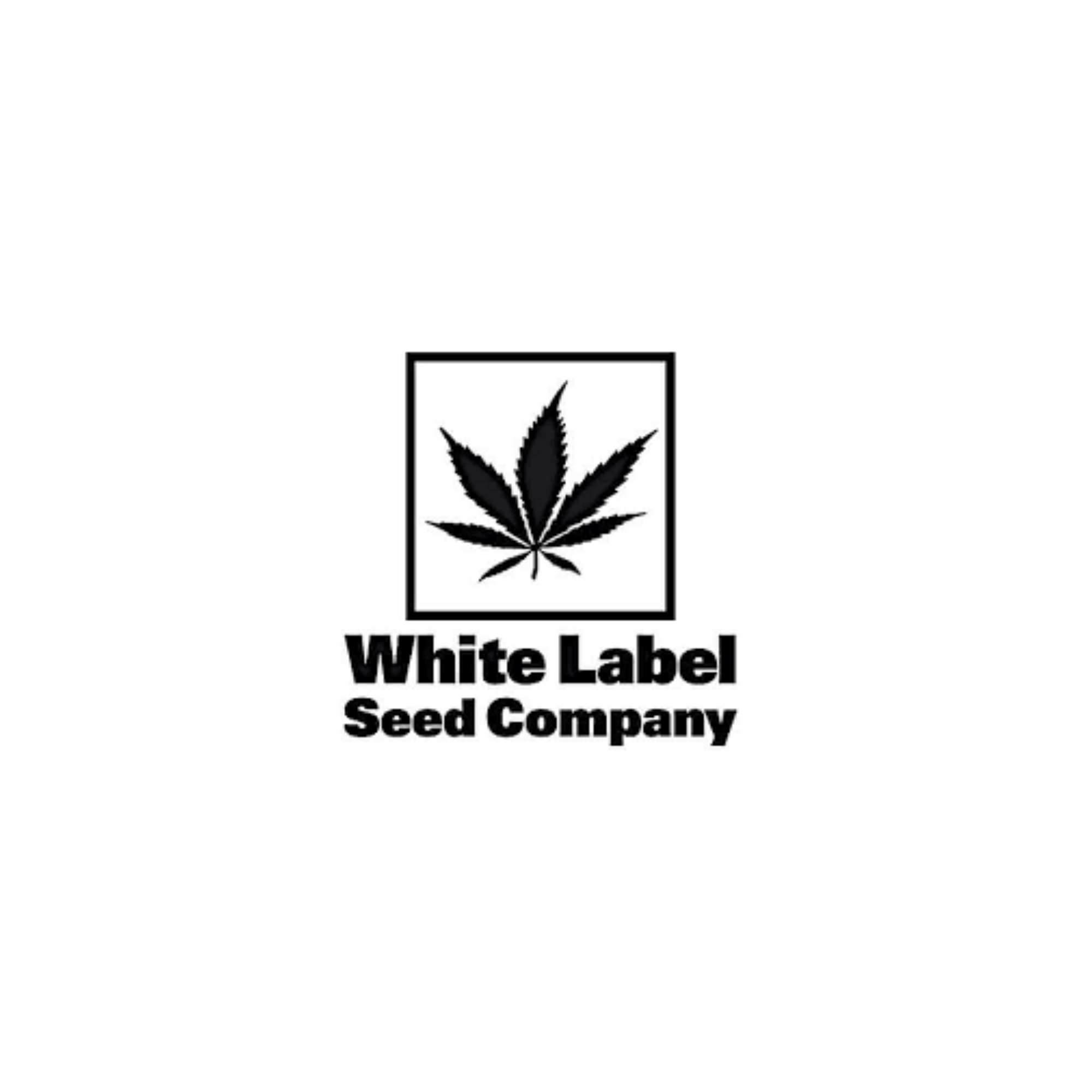White Label Seed Company | Affordable Sensi Genetics for Every Grower