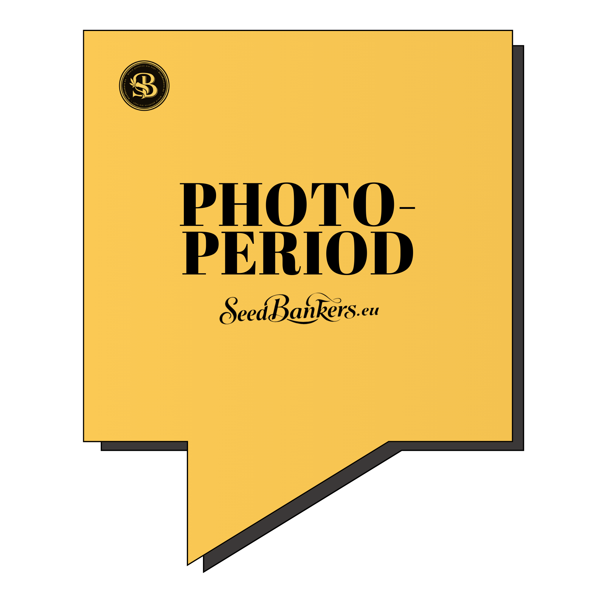 Photoperiod Seeds – Premium Cannabis Genetics | SeedBankers.eu