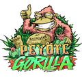 Semillas feminizadas de Peyote Gorilla