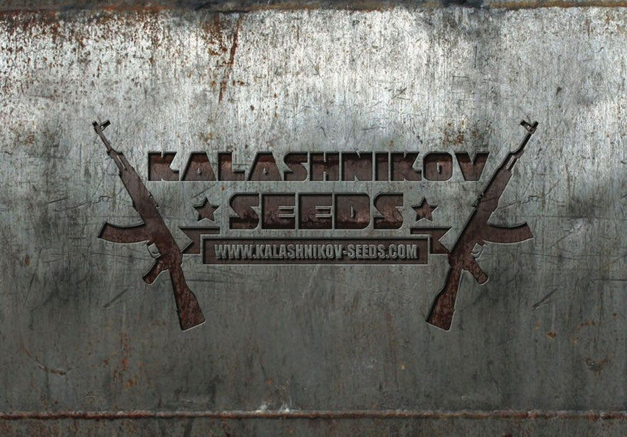 Mix Feminised Seeds