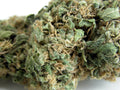 Original Skunk #1 Reguläre Samen
