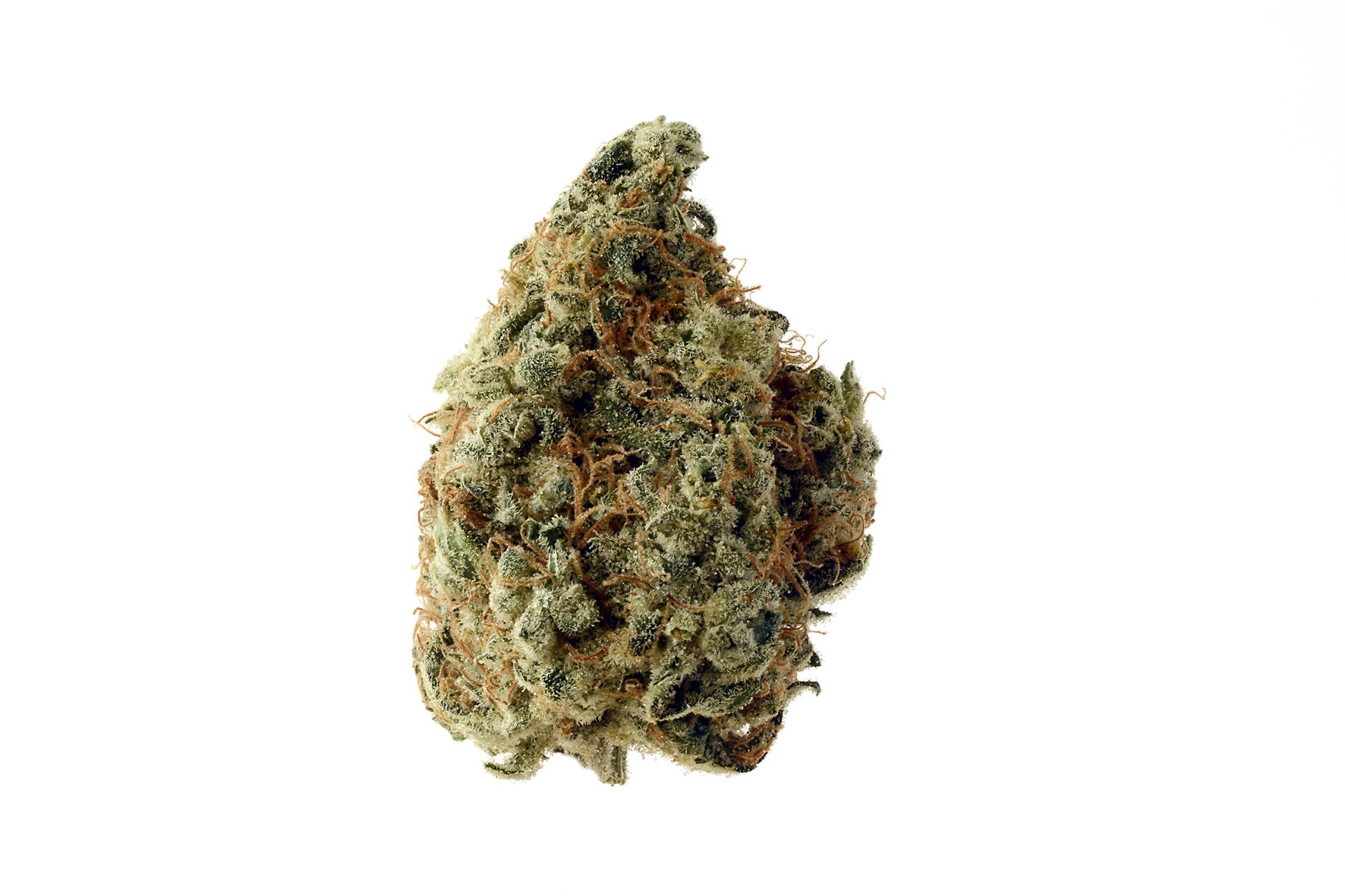 Semillas feminizadas de White Choco