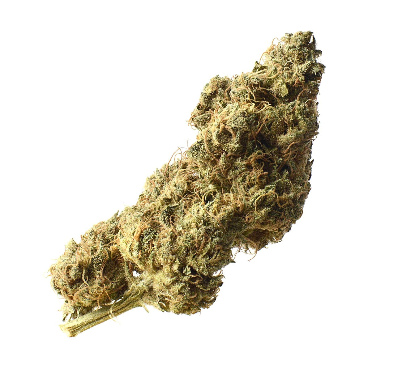Semillas feminizadas de White Choco Haze