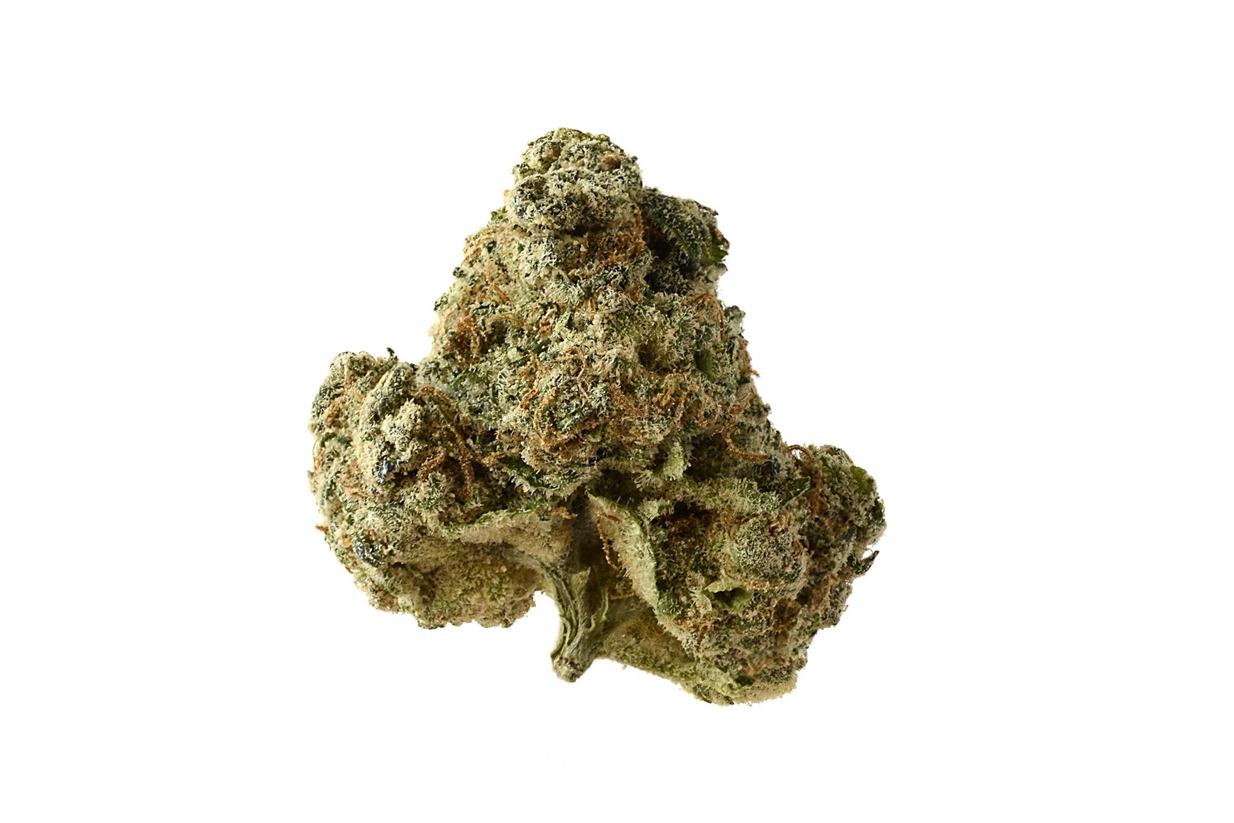 Semillas feminizadas de AK OG Kush