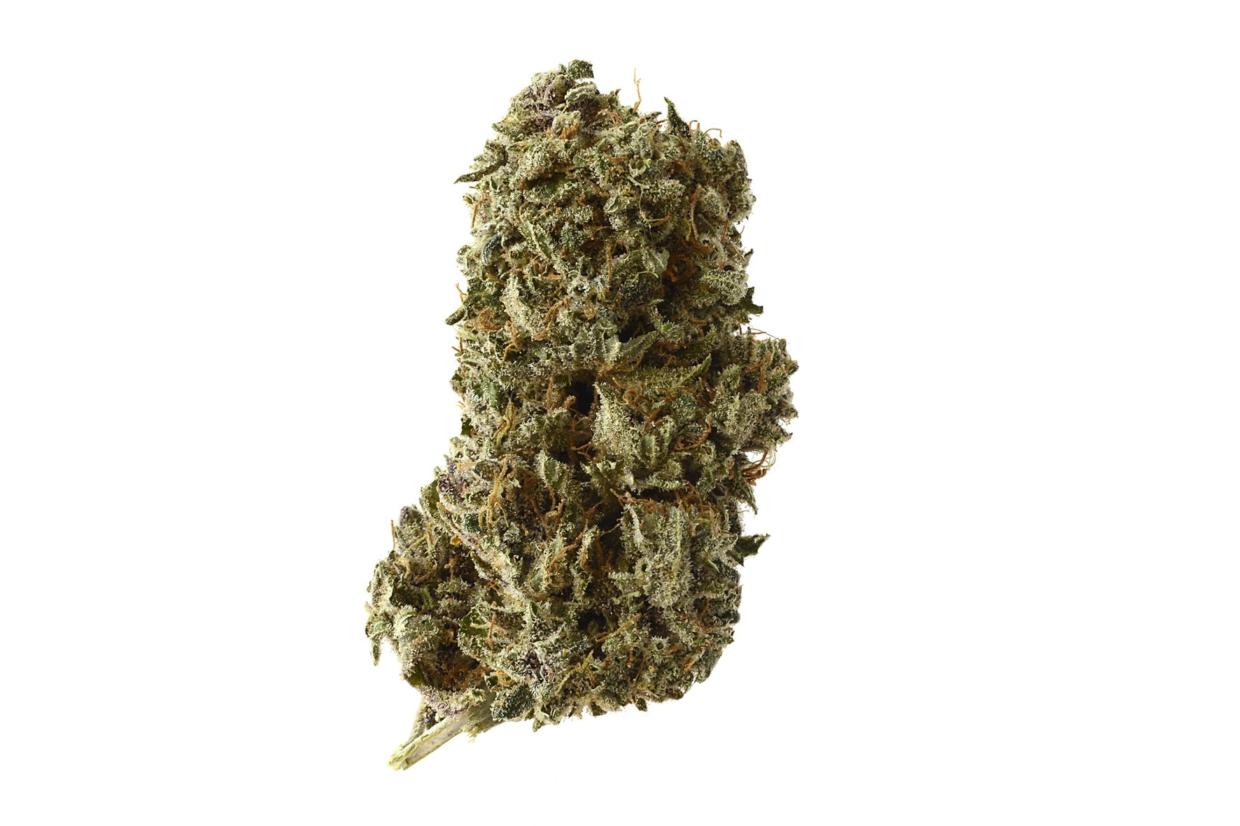 Semillas feminizadas Kosher Tangie Kush