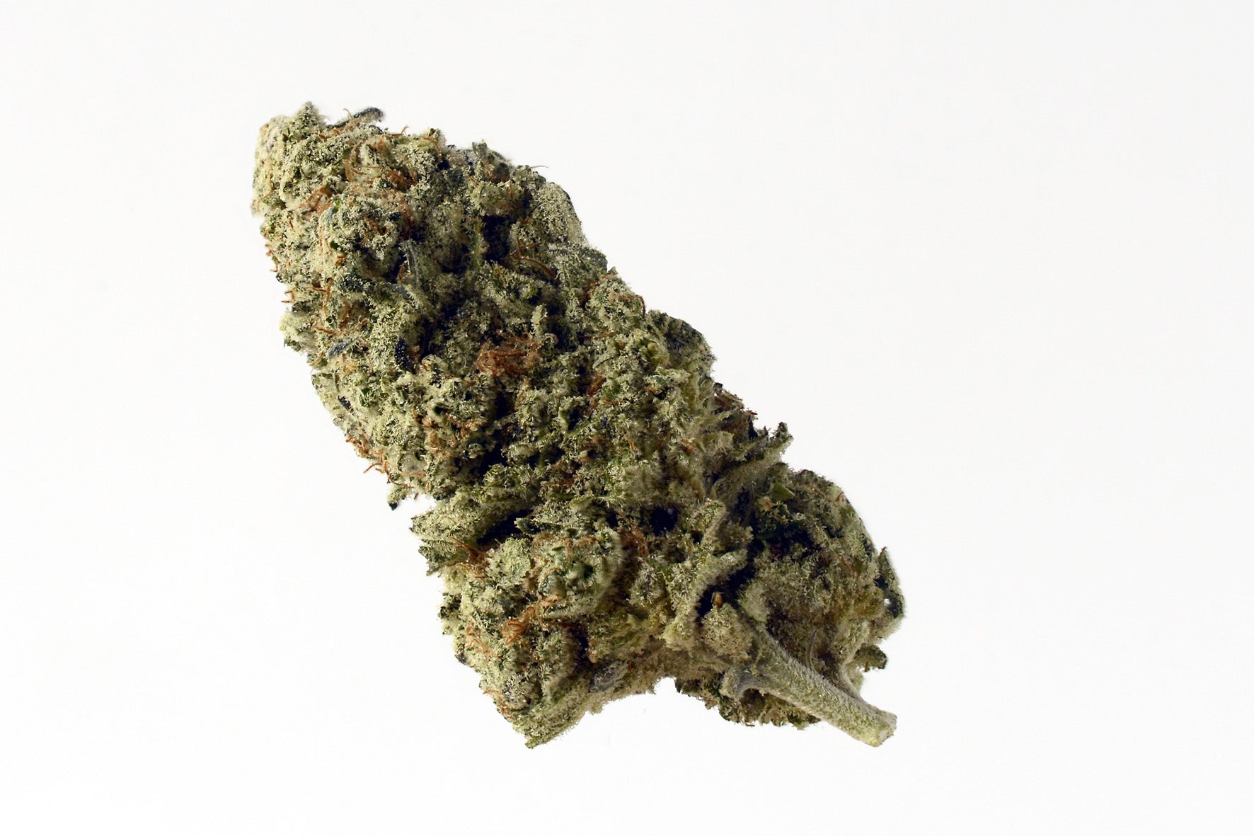 Semillas feminizadas Green Magic