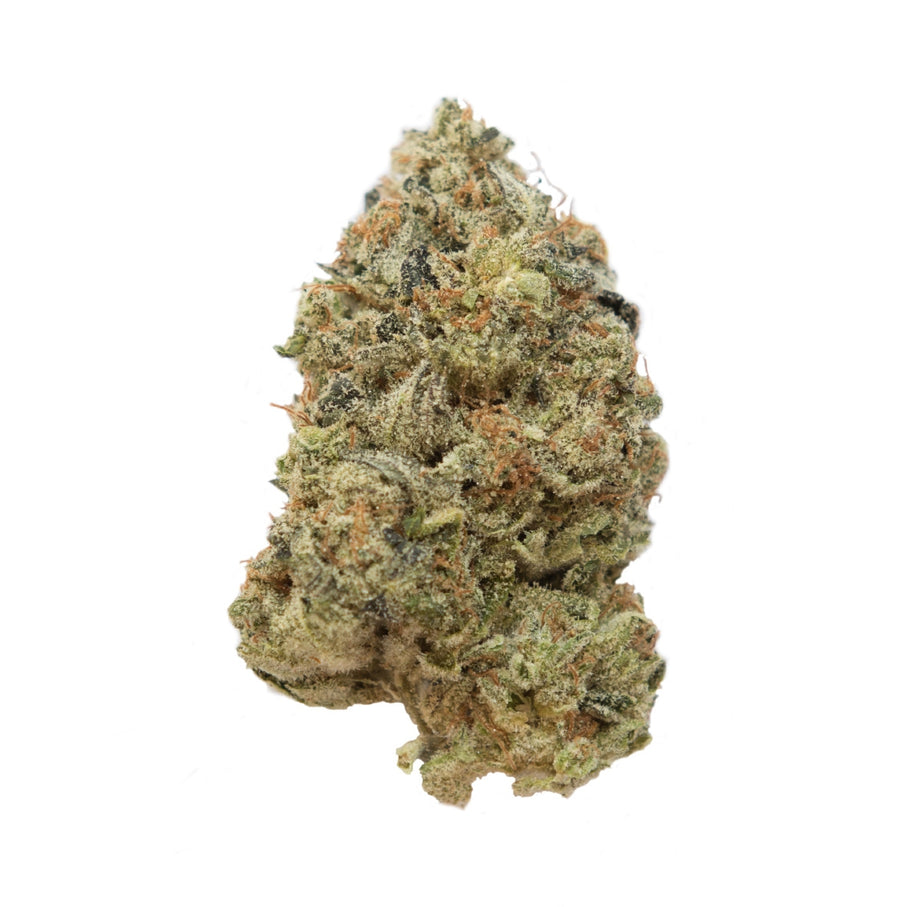Tangerine G13 Feminised Seeds