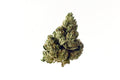 Semillas feminizadas de Choco Kush Auto