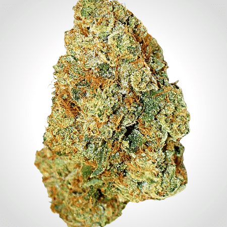 Semillas feminizadas Expert Gorilla Auto