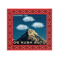 OG Kush Auto Feminised Seeds