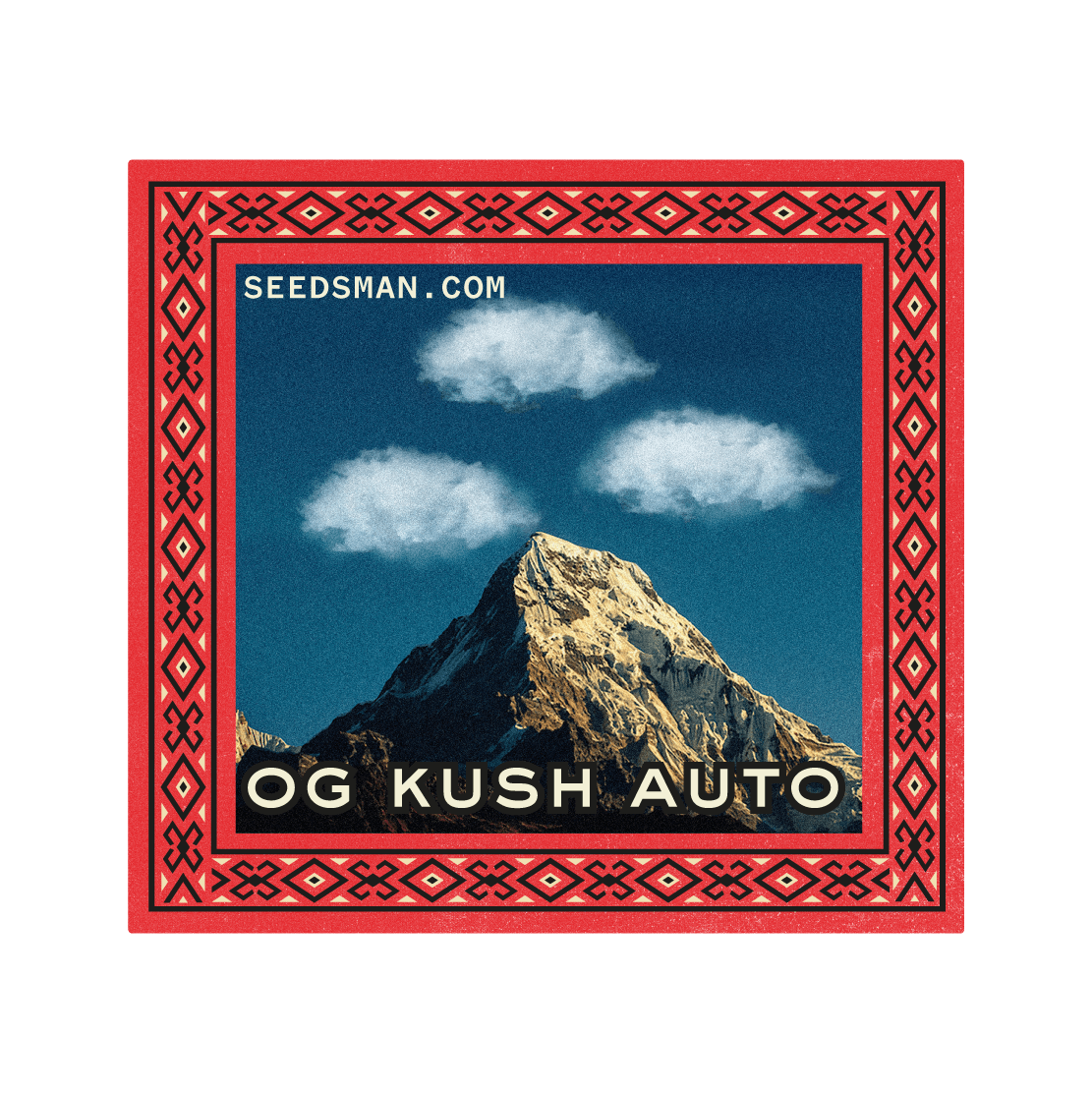 OG Kush Auto Feminised Seeds