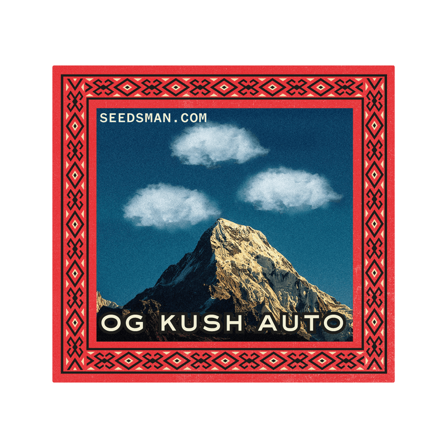 OG Kush Auto Feminised Seeds