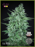 Semillas feminizadas La Rica CBD Auto