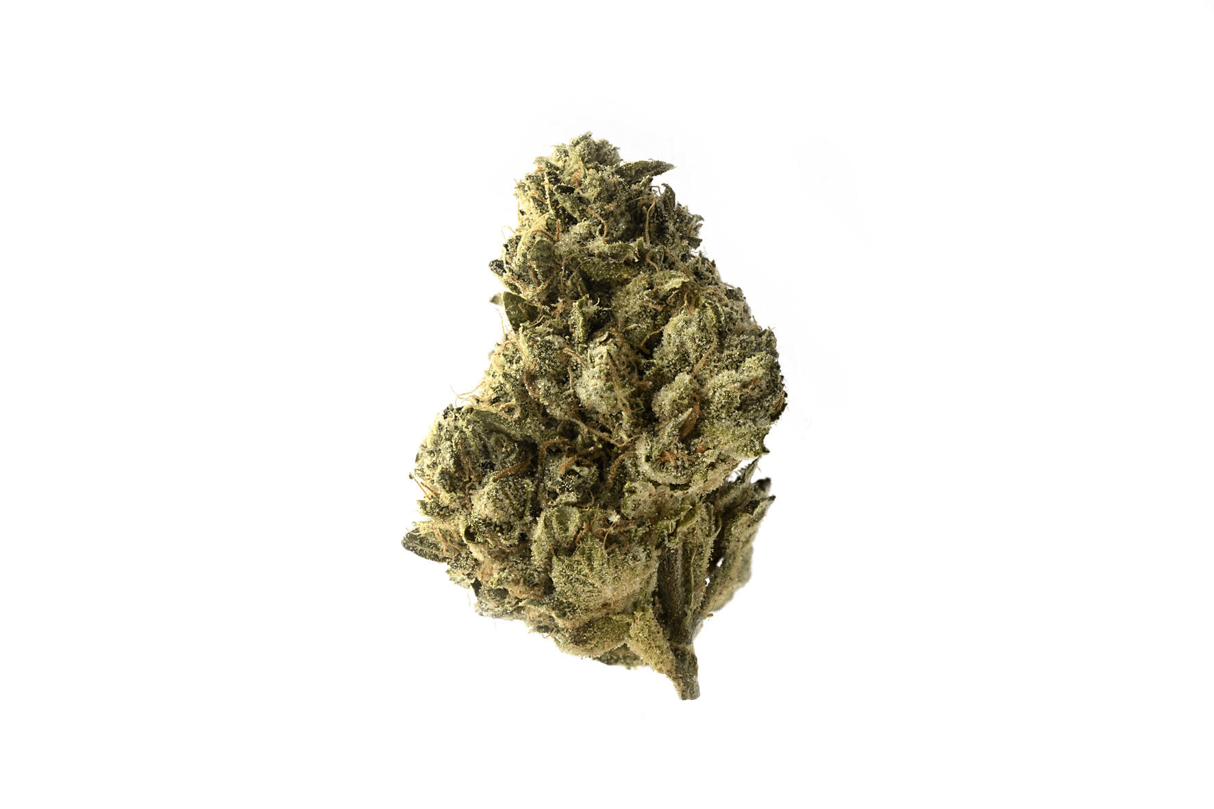 Semillas feminizadas de Strawberry Glue