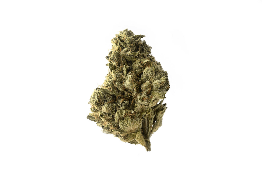Strawberry Glue Feminised Seeds
