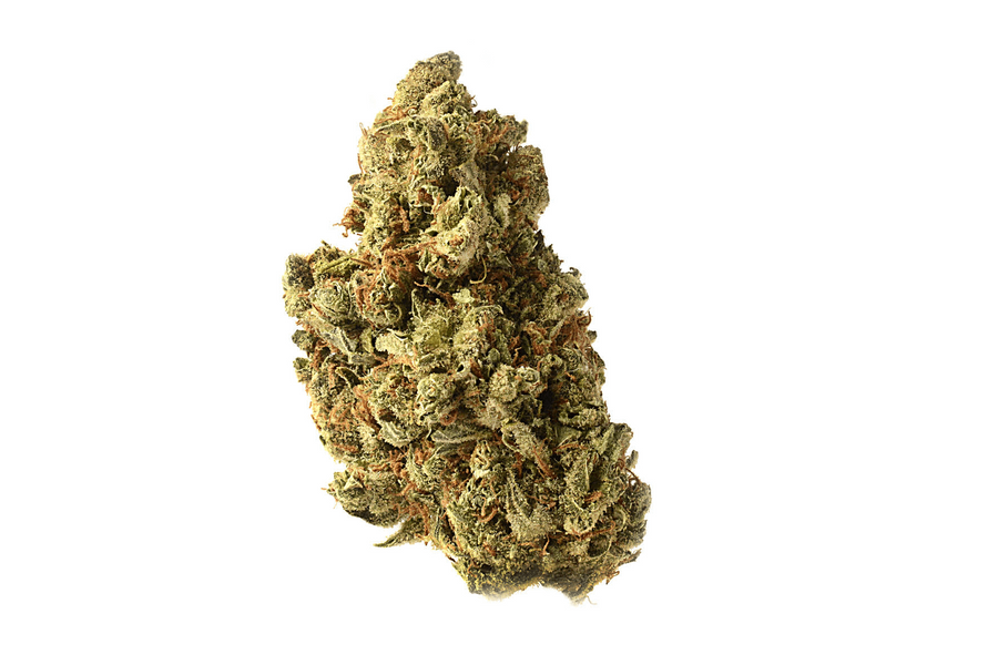 Amazing Haze feminisierte Samen