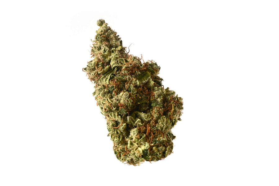 Milkshake Kush Auto Feminisierte Samen