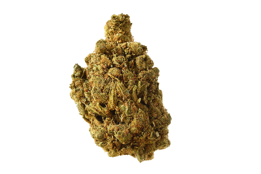 Blue Amnesia Auto Feminisierte Samen
