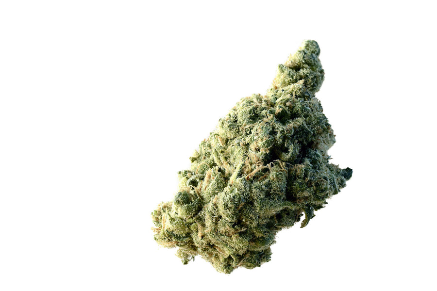 Lemon Ice Feminised Seeds