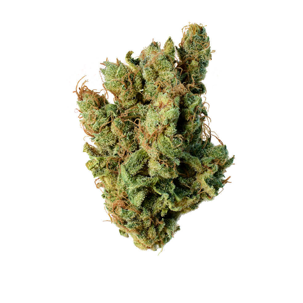 Semillas feminizadas de Super Silver Haze