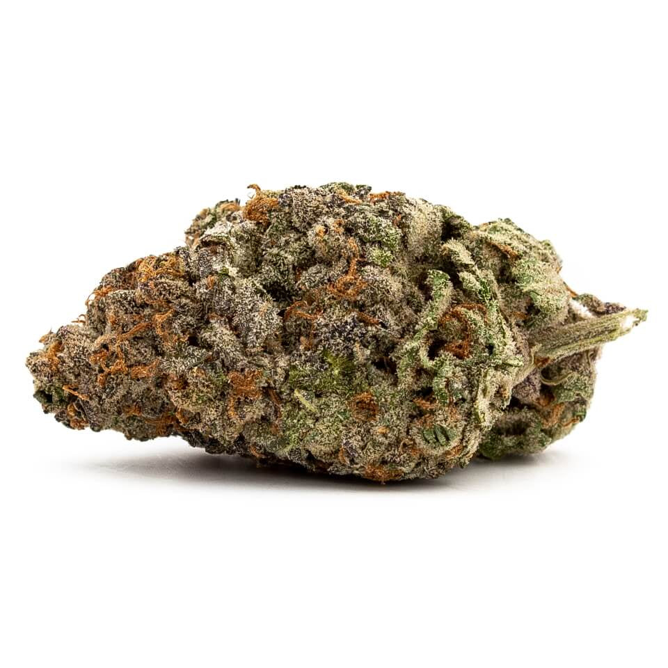 Semillas feminizadas GDP Auto x Gumberry Auto