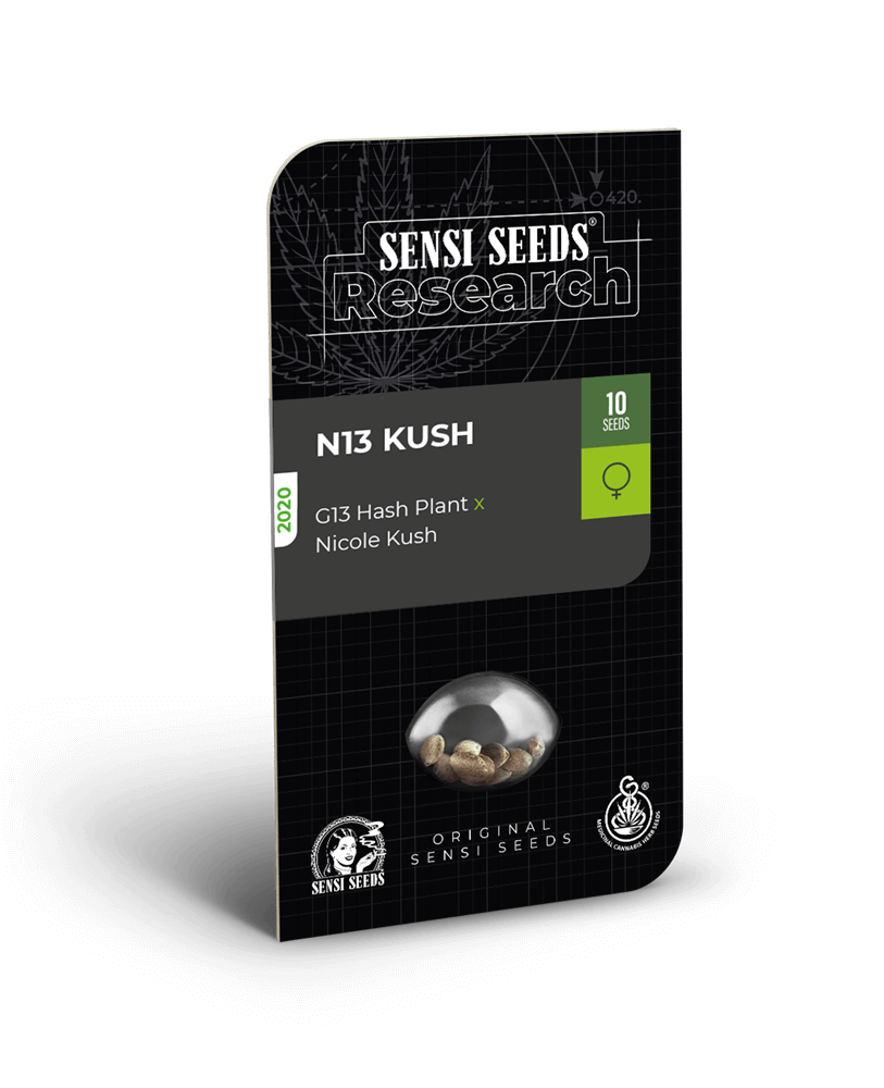 N13 Kush Feminised Seeds