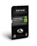 Semillas feminizadas de Mandarin Punch Auto