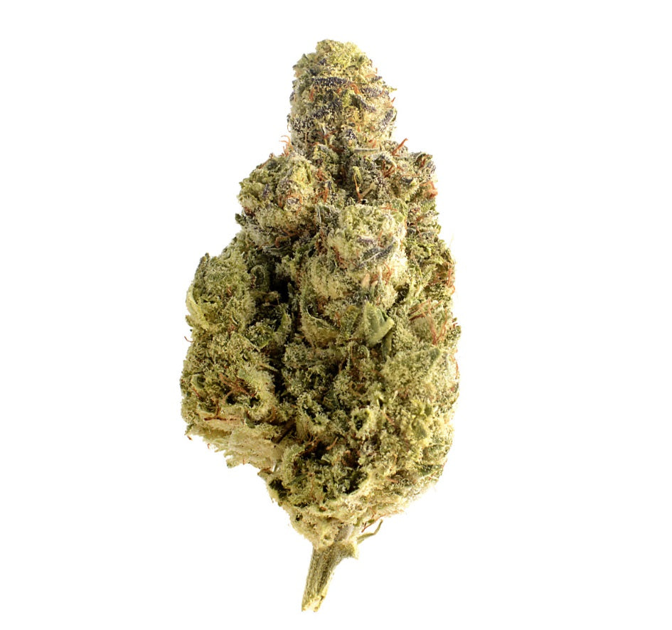 Semillas feminizadas Magic OG Kush