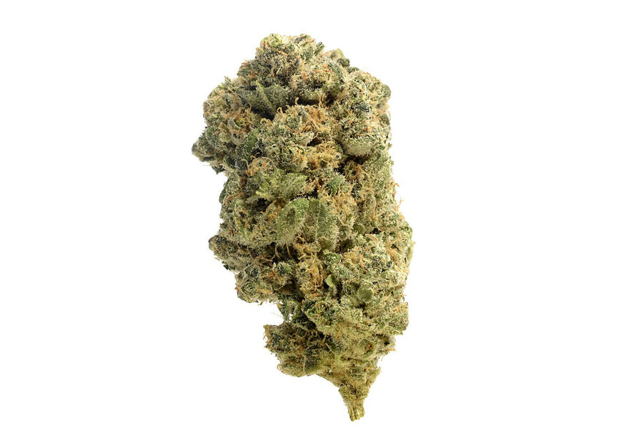Quicksilver Feminised Seeds