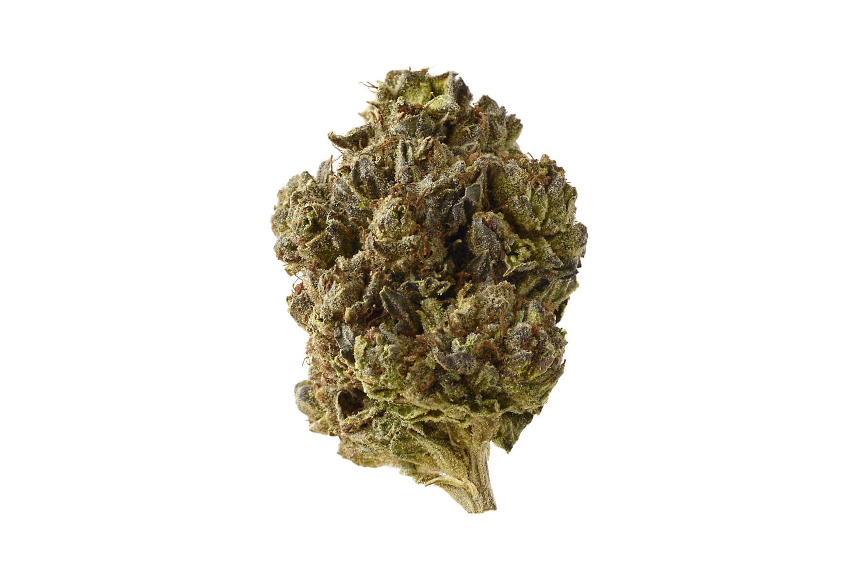 Semillas feminizadas Double Blue