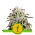 Mimosa Auto Feminised Seeds