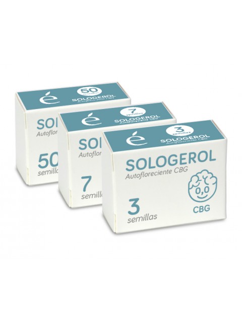 Semillas feminizadas de Sologerol CBG Auto
