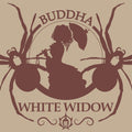 Semillas feminizadas Buddha Classics White Widow
