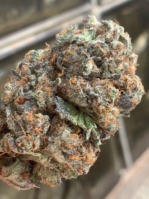 AK