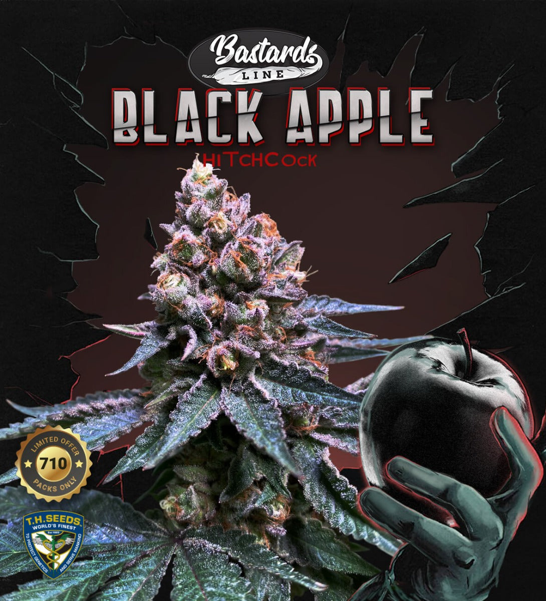 Semillas feminizadas de Black Apple Hitchcock
