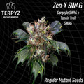 Semillas regulares Zen-X Swag